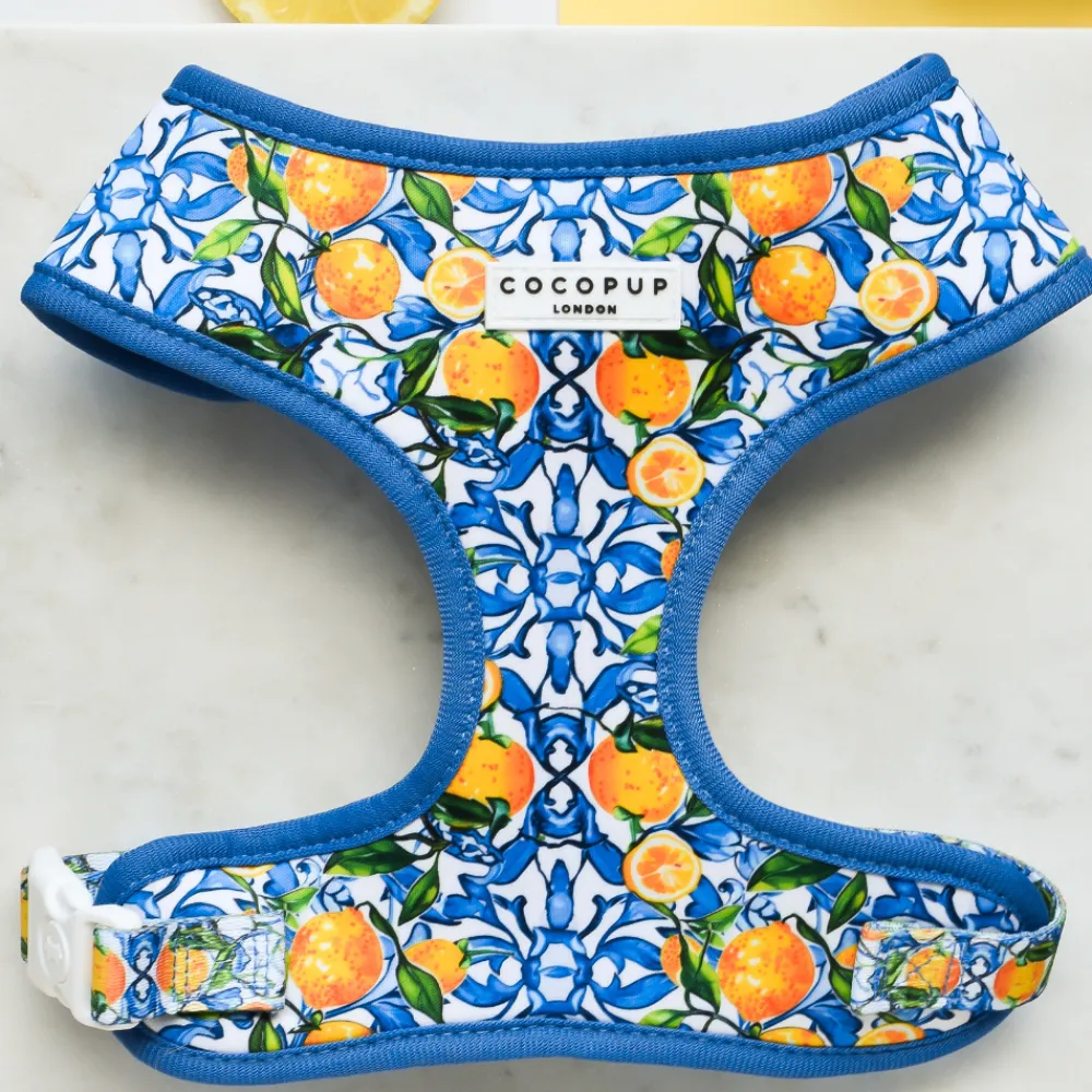 Cocopup Adjustable Neck Harnesses-Amalfi Lemon Adjustable Neck HARNESS