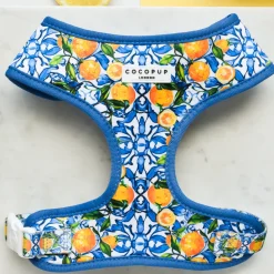 Cocopup Adjustable Harness Bundles-Amalfi Lemon Adjustable Neck Harness, Lead & Collar Bundle