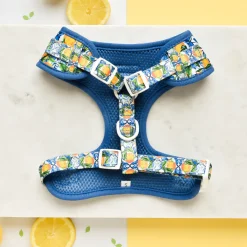 Cocopup Adjustable Neck Harnesses-Amalfi Lemon Adjustable Neck HARNESS