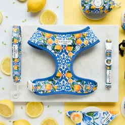 Cocopup Adjustable Neck Harnesses-Amalfi Lemon Adjustable Neck HARNESS