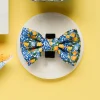 Cocopup Bow Ties-Amalfi Lemon Bow Tie