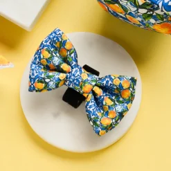 Cocopup Bow Ties-Amalfi Lemon Bow Tie