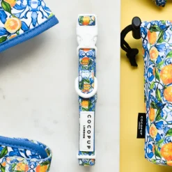 Cocopup Collars | Puppy Leads & Collars-Amalfi Lemon COLLAR