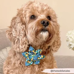Cocopup Collar Flowers-Amalfi Lemon Collar Flower