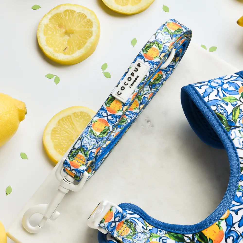 Cocopup Leads-Amalfi Lemon Lead
