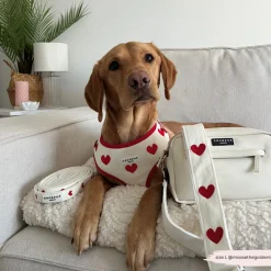Cocopup Bag Straps-Bag Strap - Hugs & Knitted