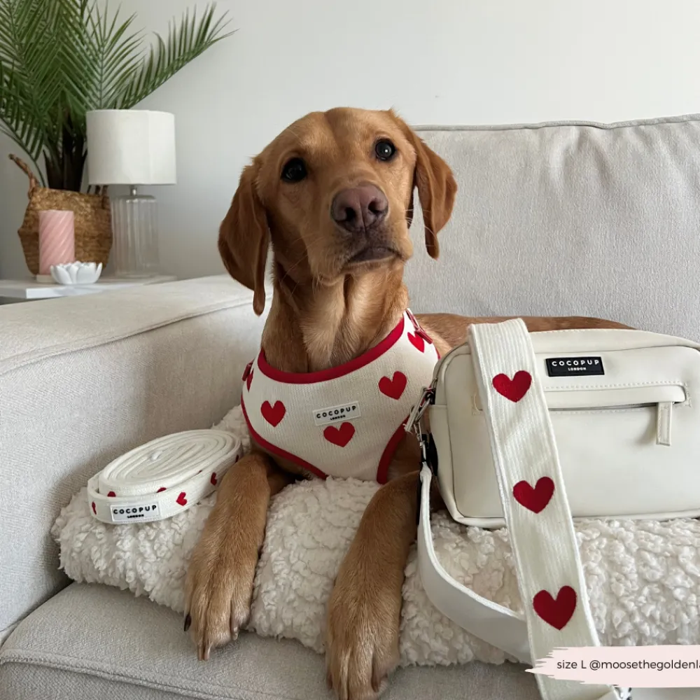 Cocopup Bag Straps-Bag Strap - Hugs & Knitted