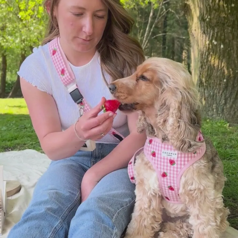 Cocopup Bag Straps-Bag Strap - Strawberry Picnic Pup