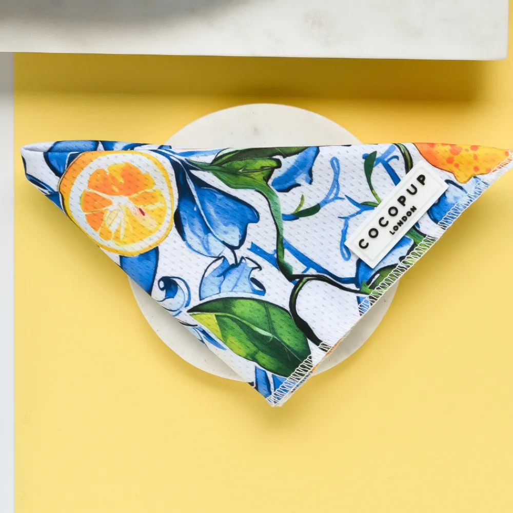 Cocopup Bandanas-Bandana - Amalfi Lemon