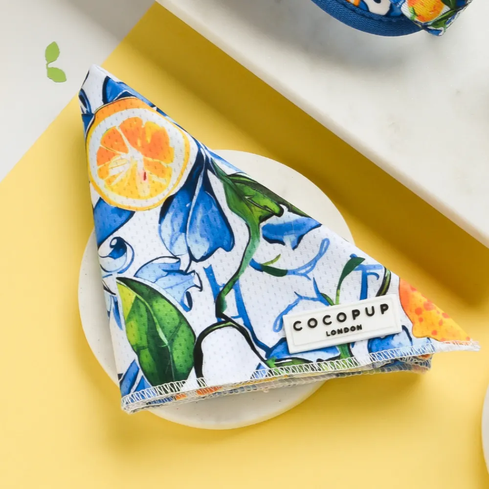 Cocopup Bandanas-Bandana - Amalfi Lemon