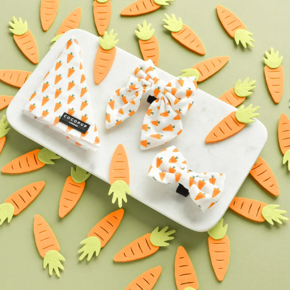 Cocopup Bandanas-Bandana - Easter Carrot