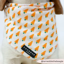 Cocopup Bandanas-Bandana - Easter Carrot