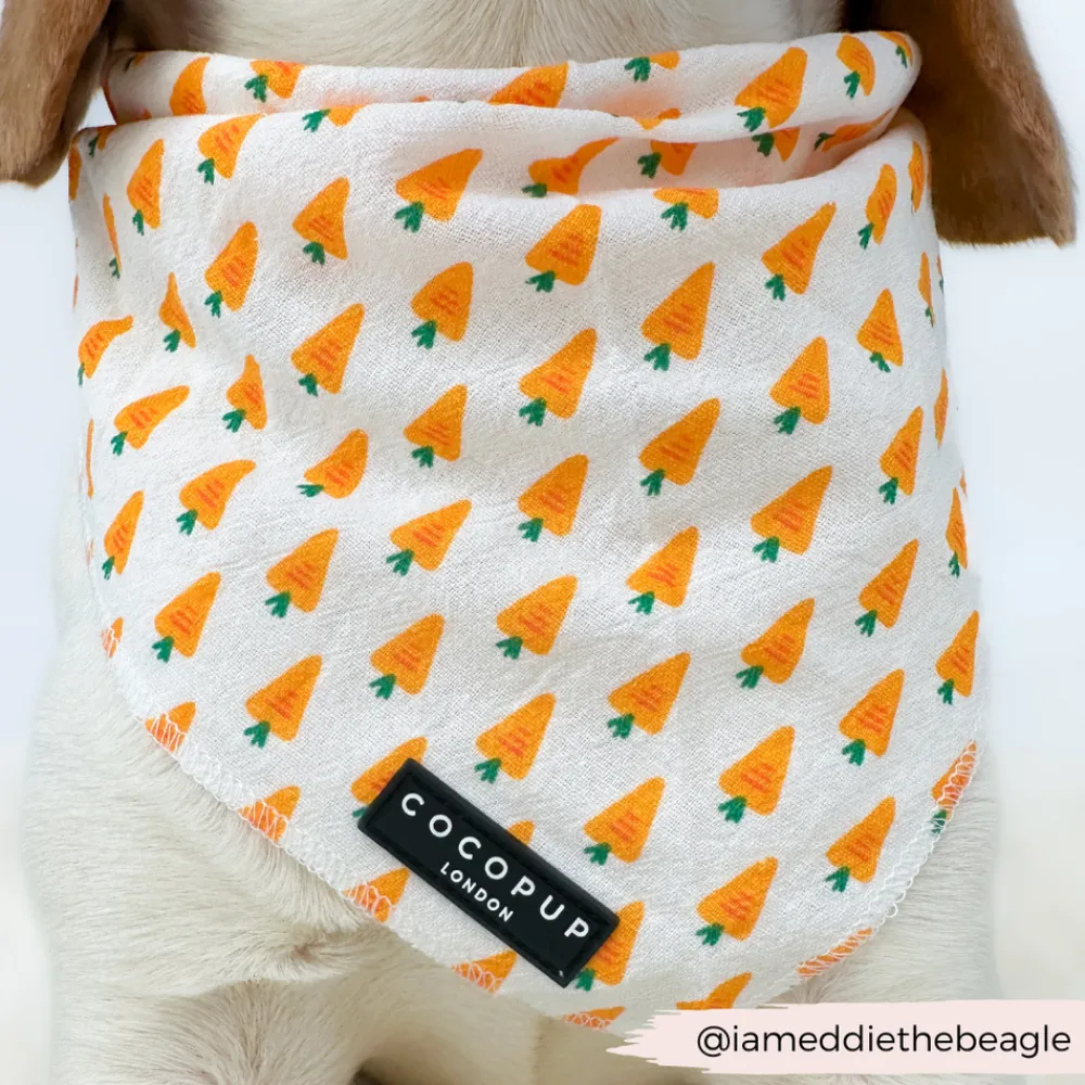 Cocopup Bandanas-Bandana - Easter Carrot