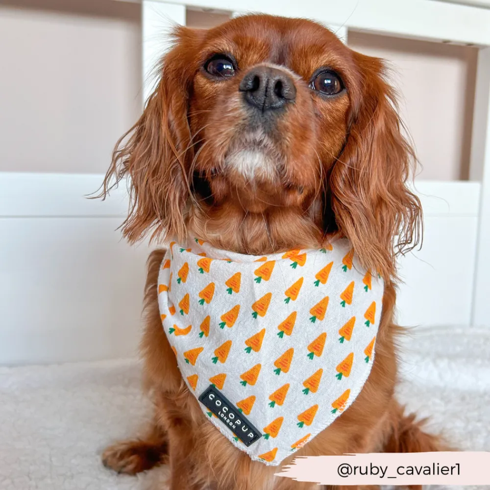 Cocopup Bandanas-Bandana - Easter Carrot