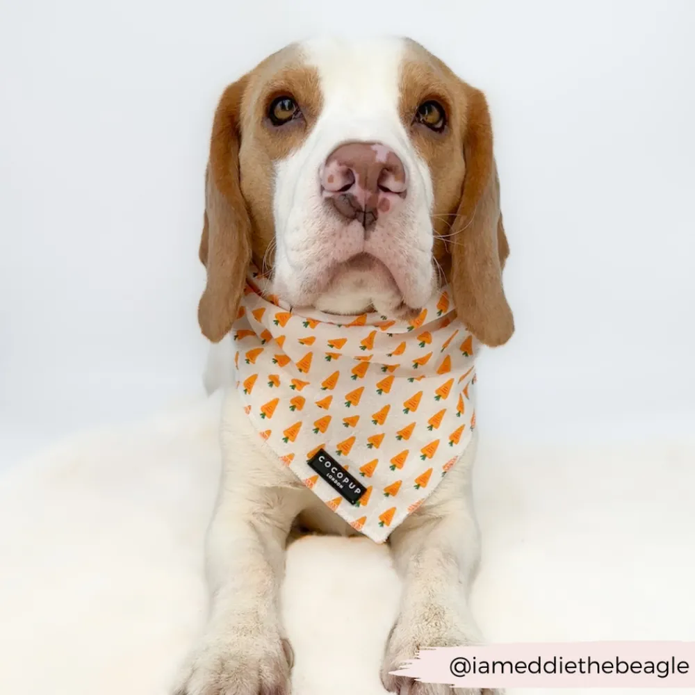 Cocopup Bandanas-Bandana - Easter Carrot
