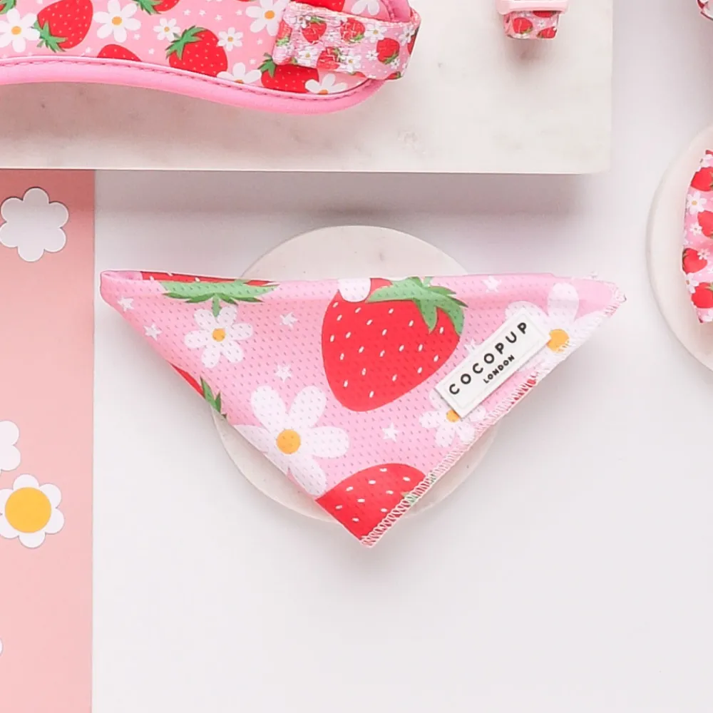 Cocopup Bandanas-Bandana - Pupberry Fields