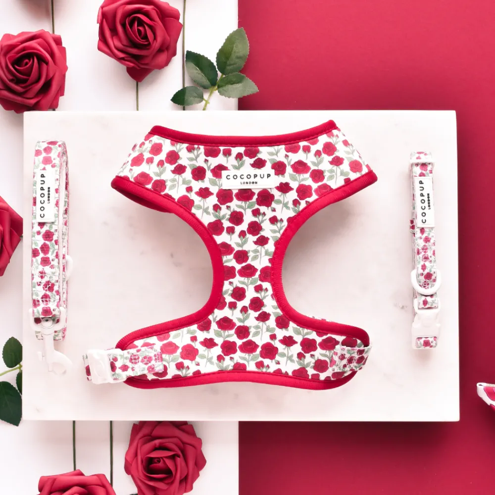Cocopup Adjustable Harness Bundles-Barkquet of Roses Adjustable Neck Harness, Lead & Collar Bundle