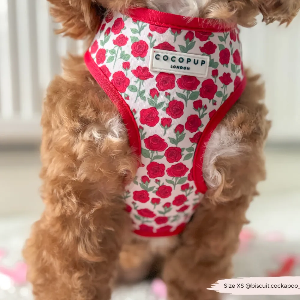 Cocopup Adjustable Harness Bundles-Barkquet of Roses Adjustable Neck Harness, Lead & Collar Bundle