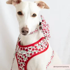 Cocopup Adjustable Neck Harnesses-Barkquet of Roses Adjustable Neck HARNESS