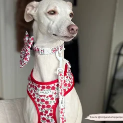 Cocopup Adjustable Neck Harnesses-Barkquet of Roses Adjustable Neck HARNESS