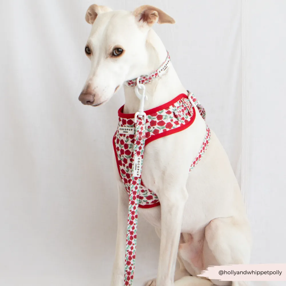 Cocopup Collars | Puppy Leads & Collars-Barkquet of Roses COLLAR