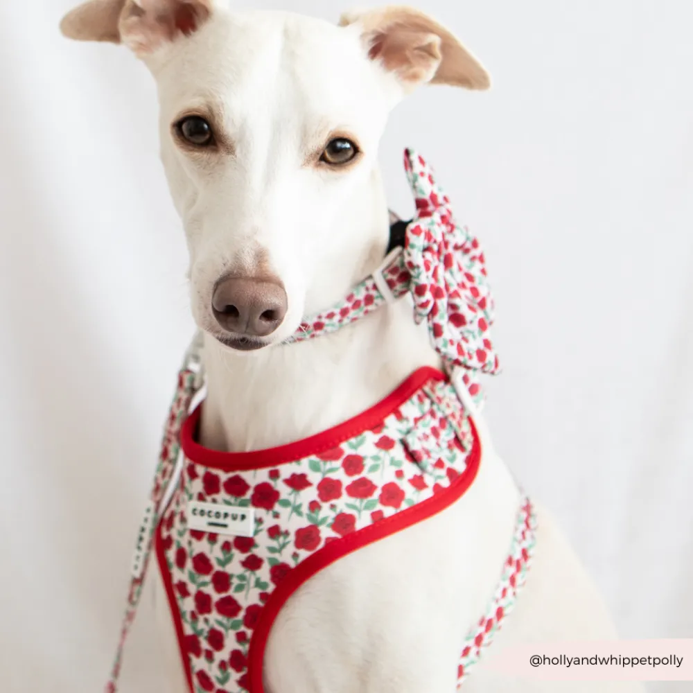 Cocopup Collars | Puppy Leads & Collars-Barkquet of Roses COLLAR