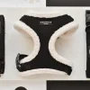 Cocopup Adjustable Neck Harnesses-Black Aviator Adjustable Neck HARNESS