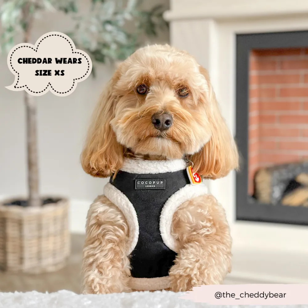 Cocopup Adjustable Harness Bundles-Black Aviator Adjustable Neck Harness, Lead & Collar Bundle