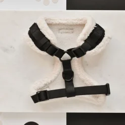 Cocopup Adjustable Neck Harnesses-Black Aviator Adjustable Neck HARNESS