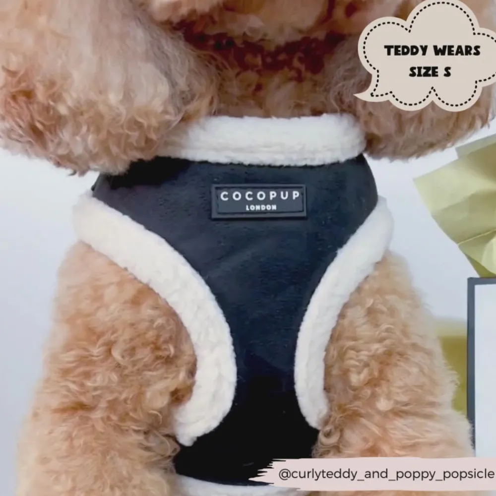 Cocopup Adjustable Harness Bundles-Black Aviator Adjustable Neck Harness, Lead & Collar Bundle