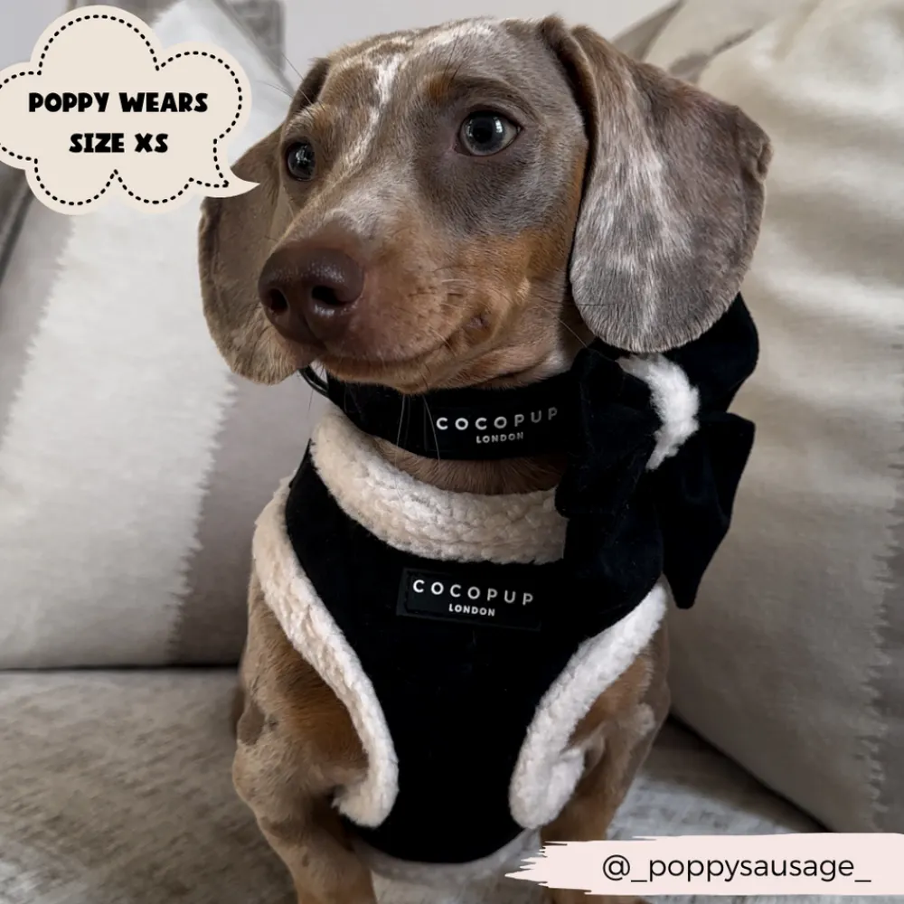 Cocopup Adjustable Neck Harnesses-Black Aviator Adjustable Neck HARNESS