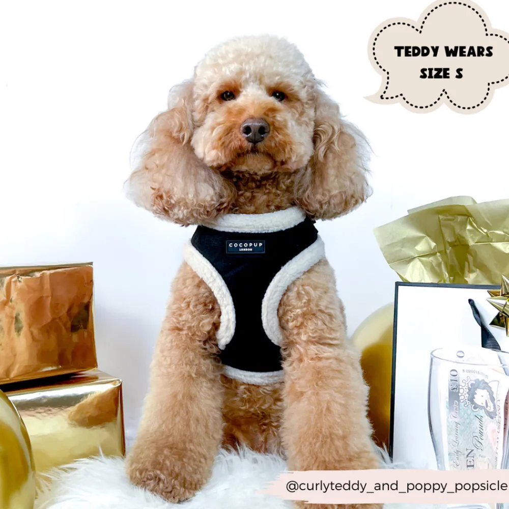 Cocopup Adjustable Harness Bundles-Black Aviator Adjustable Neck Harness, Lead & Collar Bundle