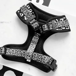 Cocopup Adjustable Harness Bundles-Black Leopard Adjustable Neck Harness, Lead & Collar Bundle