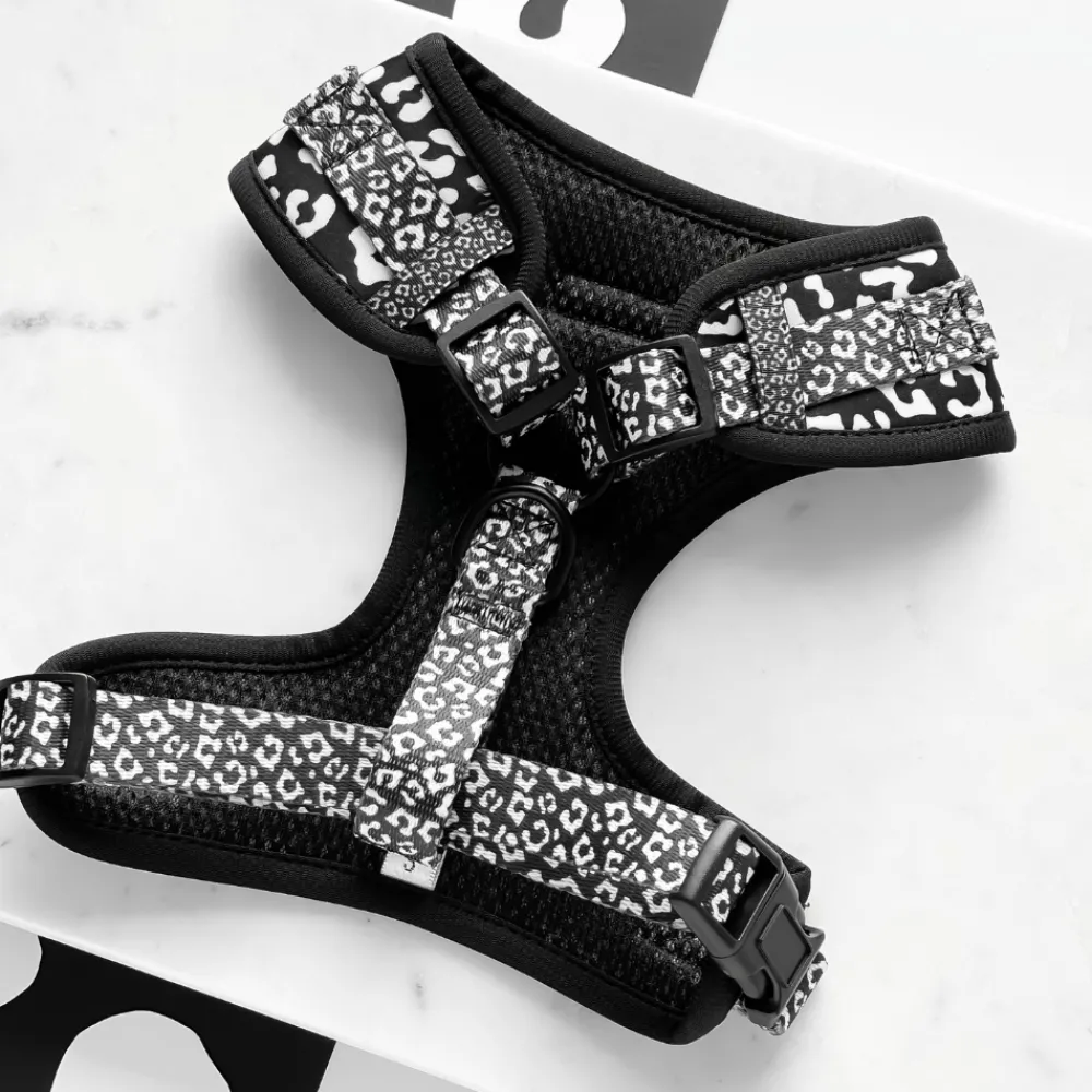 Cocopup Adjustable Harness Bundles-Black Leopard Adjustable Neck Harness, Lead & Collar Bundle