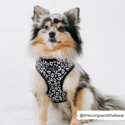 Cocopup Adjustable Neck Harnesses-Black Leopard Adjustable Neck HARNESS