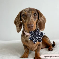 Cocopup Collar Flowers-Black Leopard Collar Flower