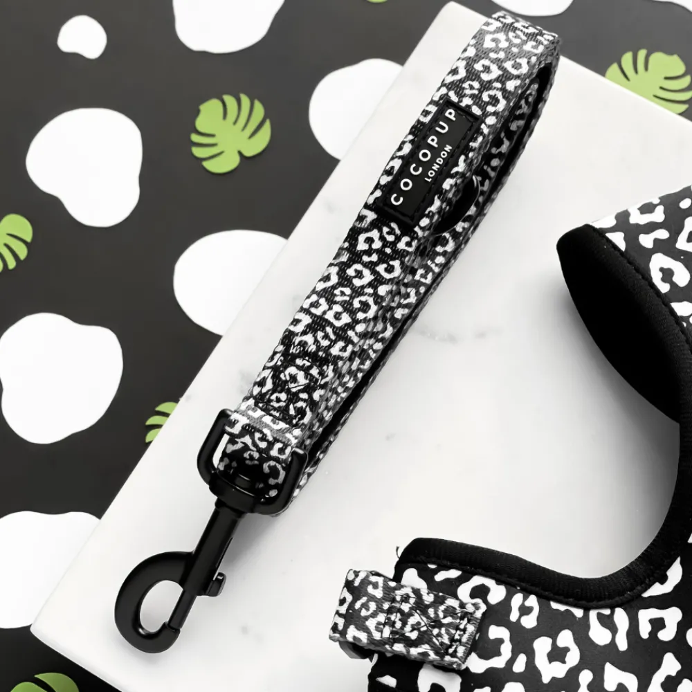 Cocopup Puppy Leads & Collars | Puppy Lead & Collar Sets-Black Leopard Puppy Lead & Collar Set