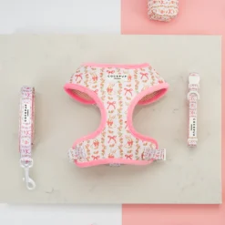 Cocopup Adjustable Harness Bundles-Bow-tiful Bunny Adjustable Neck Harness, Lead & Collar Bundle
