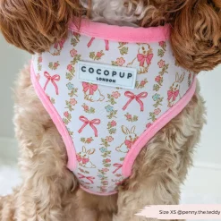 Cocopup Adjustable Harness Bundles-Bow-tiful Bunny Adjustable Neck Harness, Lead & Collar Bundle