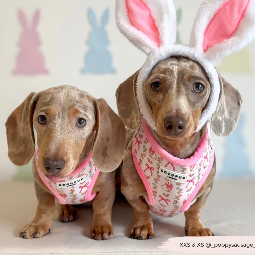 Cocopup Adjustable Neck Harnesses-Bow-tiful Bunny Adjustable Neck HARNESS