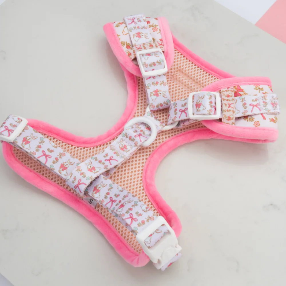 Cocopup Adjustable Harness Bundles-Bow-tiful Bunny Adjustable Neck Harness, Lead & Collar Bundle