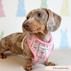 Cocopup Adjustable Neck Harnesses-Bow-tiful Bunny Adjustable Neck HARNESS