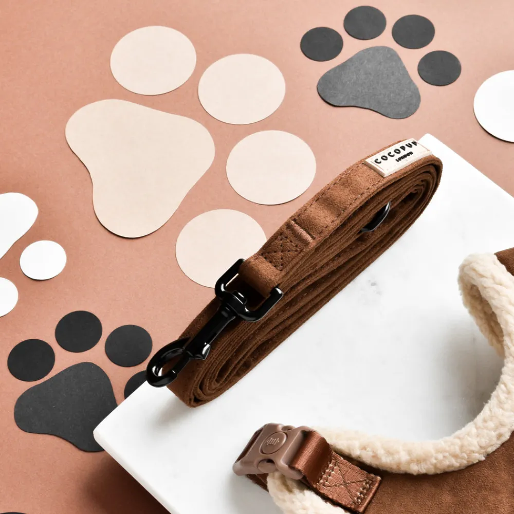 Cocopup Adjustable Harness Bundles-Brown Aviator Adjustable Neck Harness, Lead & Collar Bundle