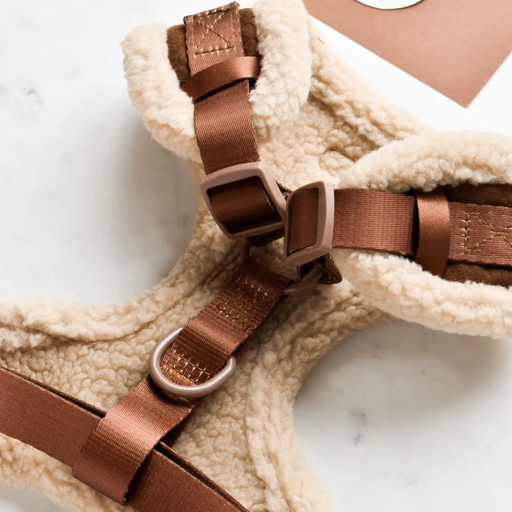 Cocopup Adjustable Harness Bundles-Brown Aviator Adjustable Neck Harness, Lead & Collar Bundle