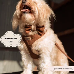Cocopup Adjustable Harness Bundles-Brown Aviator Adjustable Neck Harness, Lead & Collar Bundle