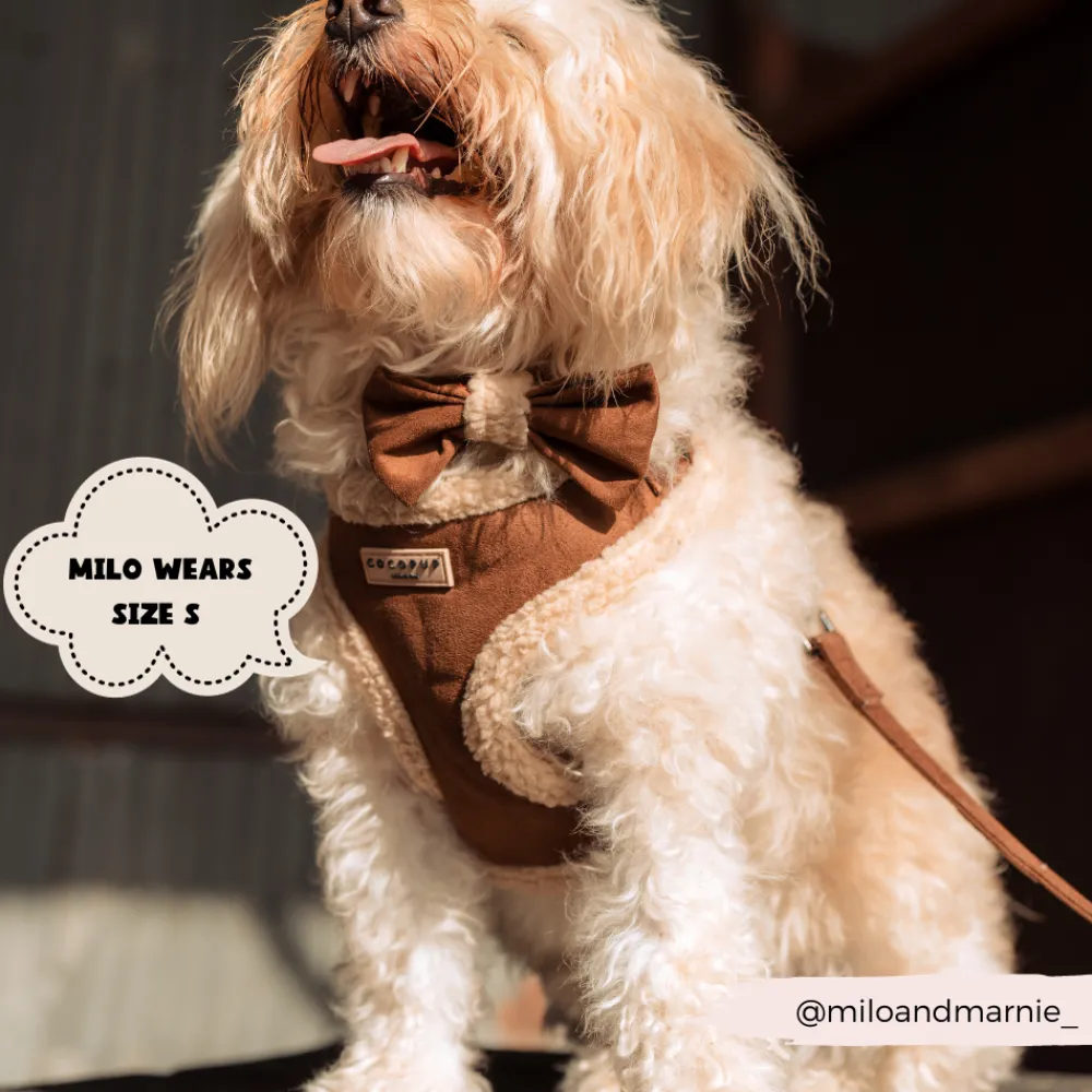 Cocopup Adjustable Harness Bundles-Brown Aviator Adjustable Neck Harness, Lead & Collar Bundle