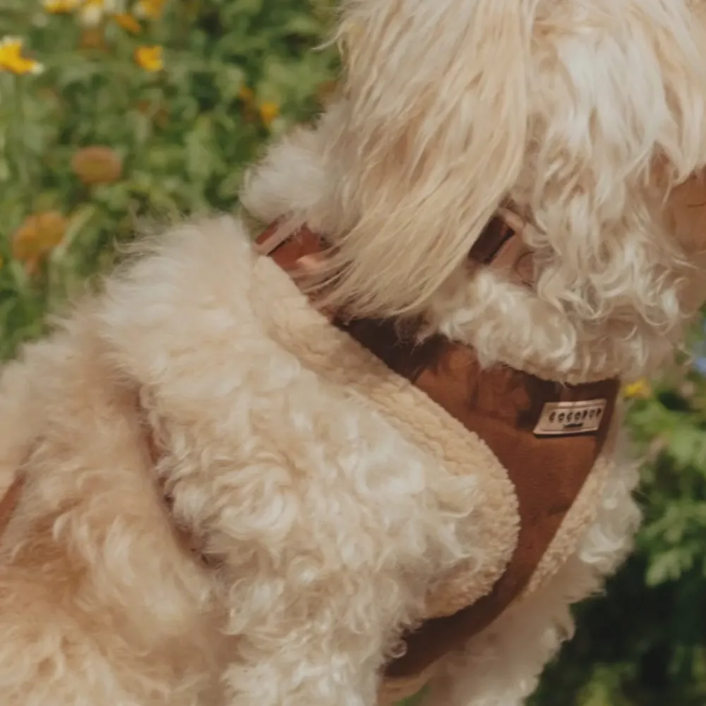 Cocopup Adjustable Neck Harnesses-Brown Aviator Adjustable Neck HARNESS