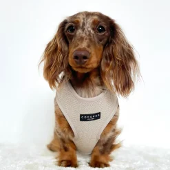 Cocopup Adjustable Harness Bundles-Brown Tweed Adjustable Neck Harness, Lead & Collar Bundle