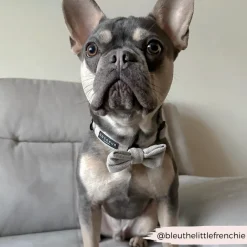 Cocopup Collars | Puppy Leads & Collars-Brown Tweed COLLAR