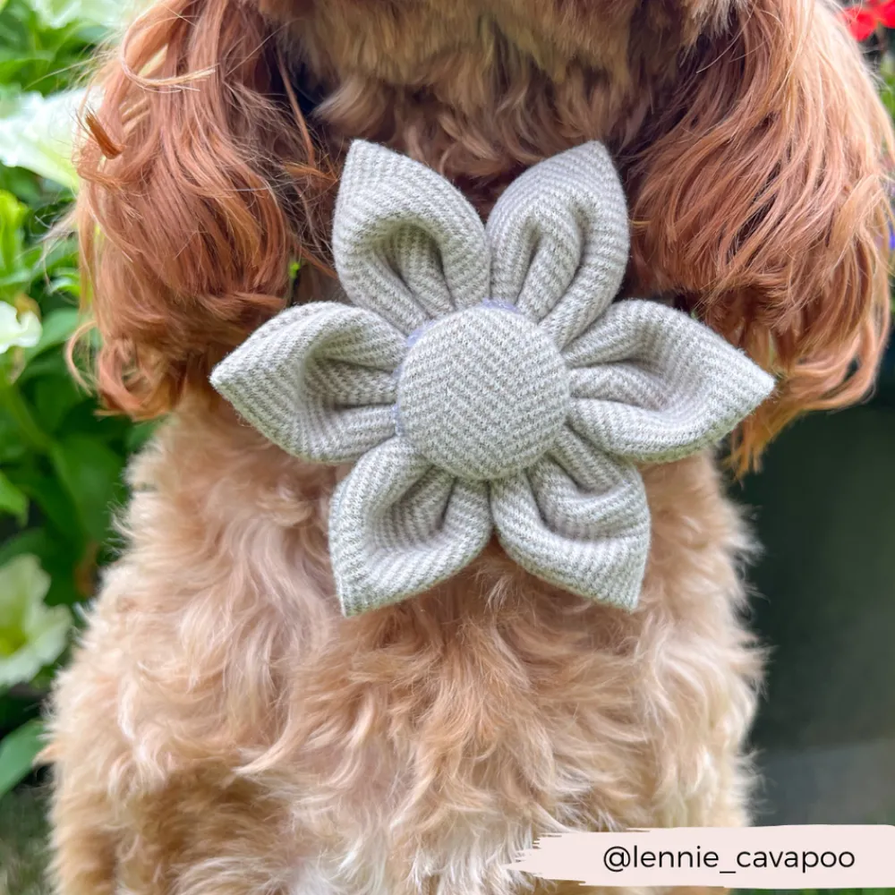 Cocopup Collar Flowers-Brown Tweed Collar Flower